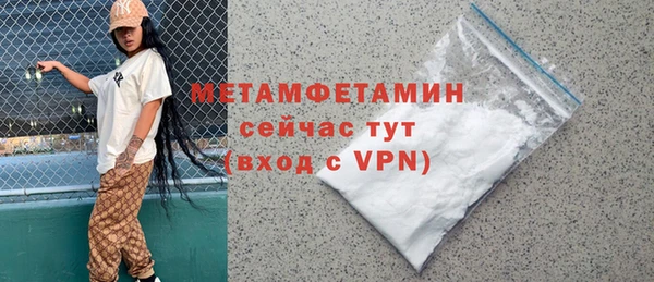 индика Дмитров