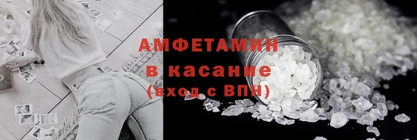 индика Дмитров
