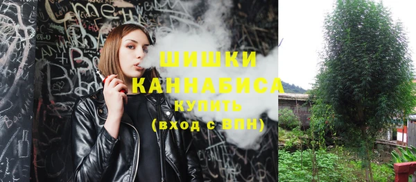 ешки Дмитровск