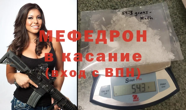 индика Дмитров
