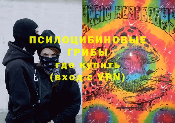 индика Дмитров