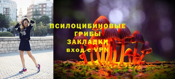 СК Дмитриев