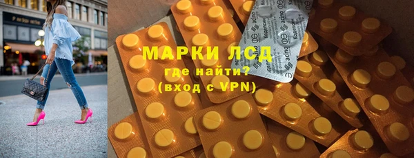 индика Дмитров