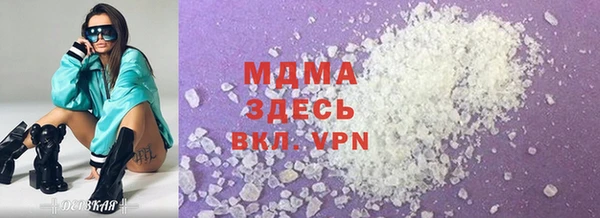 индика Дмитров