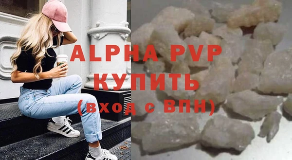 индика Дмитров